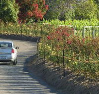 Cassegrain Wines - Accommodation Nelson Bay