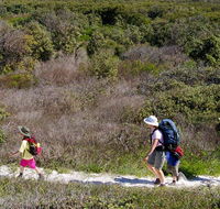 Yuraygir coastal walk - Accommodation Nelson Bay