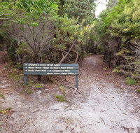 Angophora grove walking track - Accommodation Nelson Bay