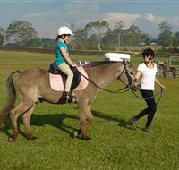 Port Macquarie Horse Riding Centre - Accommodation Nelson Bay