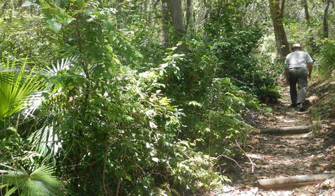 Bridle Trail - Accommodation Nelson Bay 0