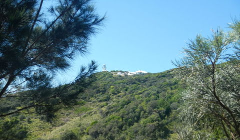 Jack Perkins Walking Track - Accommodation Nelson Bay 3
