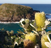 Green Island walking track - Accommodation Nelson Bay