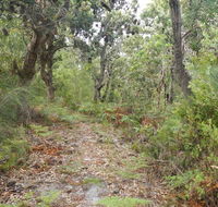 Kinchela Trig Lookout walk - Accommodation Nelson Bay
