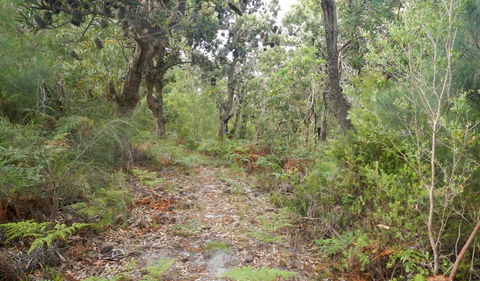 Kinchela Trig Lookout Walk - Accommodation Nelson Bay 0