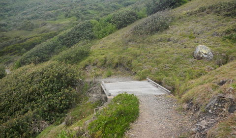 Connors Walking Track - Accommodation Nelson Bay 2