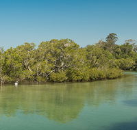 Tyagarah Nature Reserve - Accommodation Nelson Bay
