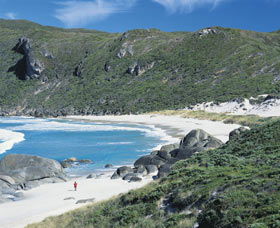 D'Entrecasteaux National Park - Accommodation Nelson Bay 0