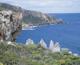 D'Entrecasteaux National Park - Accommodation Nelson Bay 3