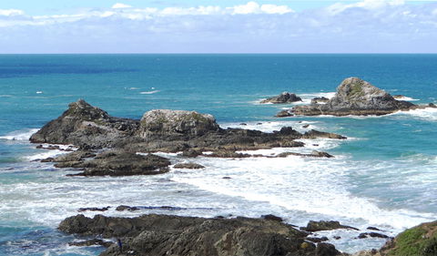 Broken Head Nature Reserve - Accommodation Nelson Bay 3