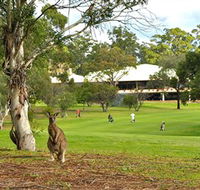 Pambula Merimbula Golf Club - Accommodation Nelson Bay