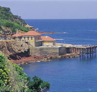 Merimbula Aquarium - Accommodation Nelson Bay
