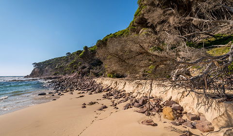Terrace Beach And Lennards Island - Accommodation Nelson Bay 2