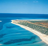 Monkey Mia - Accommodation Nelson Bay