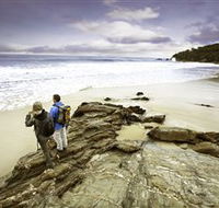 Wilderness Coast Walk - Accommodation Nelson Bay