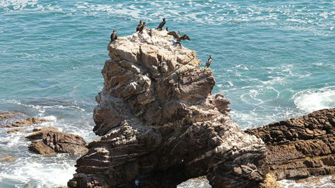 Ben Boyd National Park - Accommodation Nelson Bay 2