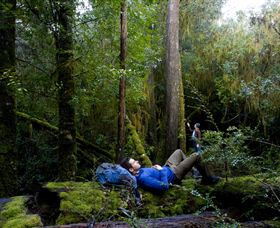 The Tarkine Drive - Accommodation Nelson Bay 0