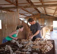 Peron Homestead - Accommodation Nelson Bay