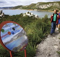 Rocky Cape National Park - Accommodation Nelson Bay