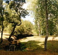 Oldina Picnic Area - Accommodation Nelson Bay