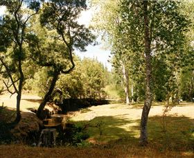 Oldina Picnic Area - Accommodation Nelson Bay 0