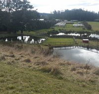 Guide Falls Farm - Accommodation Nelson Bay