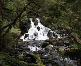Hellyer Gorge - Accommodation Nelson Bay 2