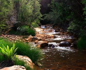 Hellyer Gorge - Accommodation Nelson Bay 1