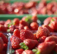 Turners Beach Berry Patch - Accommodation Nelson Bay