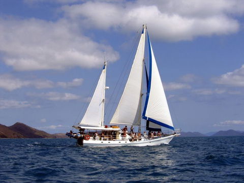 Adventure, Cruise, Dive And Outer Reef - Whitsundays Sailing Adventures - Accommodation Nelson Bay 6