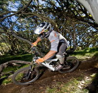 All Terrain Cycles - Accommodation Nelson Bay