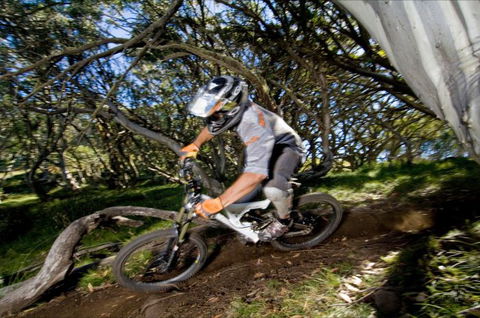 All Terrain Cycles - Accommodation Nelson Bay 0