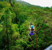 Canyon Flyer - Accommodation Nelson Bay