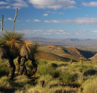4WD Aussie Outback Adventures - Accommodation Nelson Bay