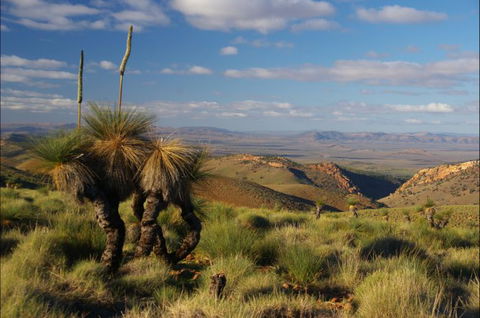4WD Aussie Outback Adventures - Accommodation Nelson Bay 1