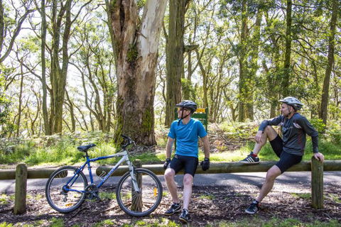 Fit Tours - Accommodation Nelson Bay 8