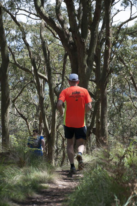 Fit Tours - Accommodation Nelson Bay 13