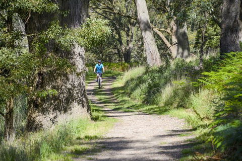 Fit Tours - Accommodation Nelson Bay 14