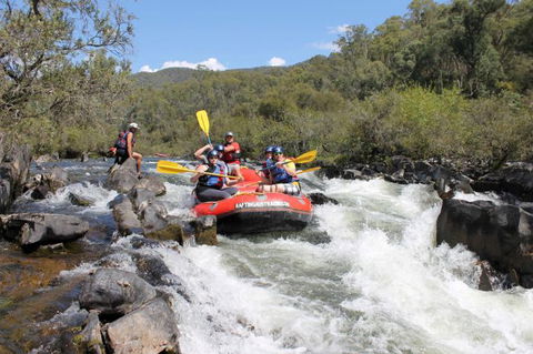 Rafting Australia - Accommodation Nelson Bay 2