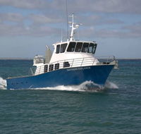 Southern Coast Charters - Accommodation Nelson Bay