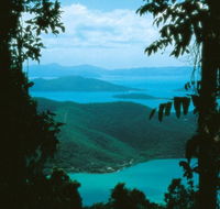 Conway Circuit - Accommodation Nelson Bay