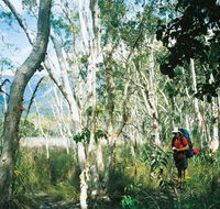 Thorsborne Trail Hinchinbrook Island National Park - Accommodation Nelson Bay