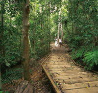 Lake Barrine Circuit Track Crater Lakes National Park - Accommodation Nelson Bay