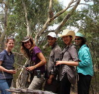Echidna Walkabout Nature Tours - Accommodation Nelson Bay