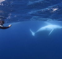 Sunreef Mooloolaba - Accommodation Nelson Bay