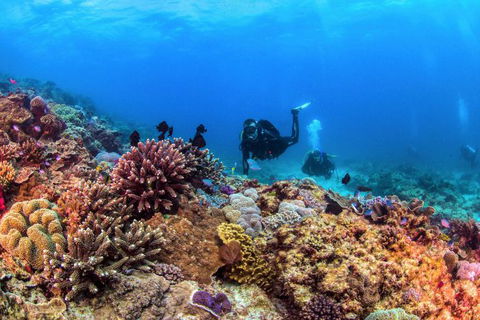 Sunreef Mooloolaba - Nelsons Bay Accommodation 9