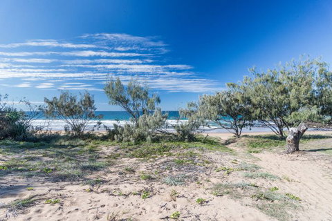 Deepwater National Park Camping Ground - Accommodation Nelson Bay 4
