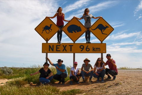 Nullarbor Traveller - Accommodation Nelson Bay 37