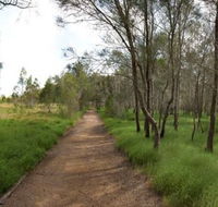 Billai dhagun Circuit Place of She-Oaks - Accommodation Nelson Bay