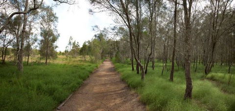 Billai Dhagun Circuit (Place Of She-Oaks) - Accommodation Nelson Bay 0